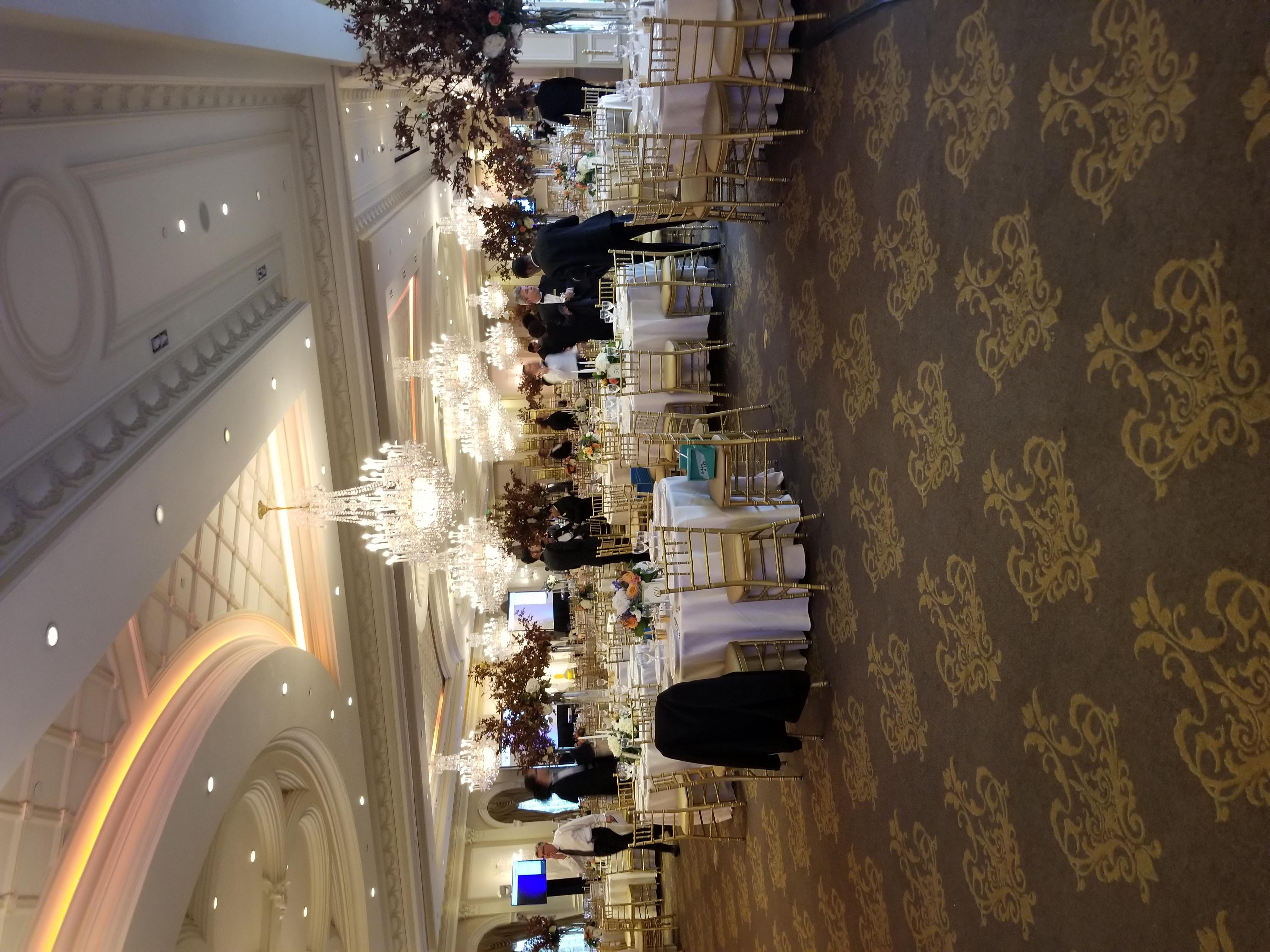 Company Party 5